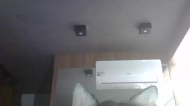 Skinny-Kitten online show from December 14, 2:50 am