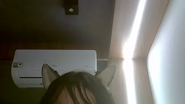 Skinny-Kitten online show from February 13, 1:34 am