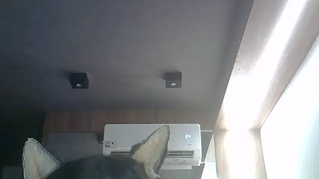 Snapshot of Skinny-Kitten chatting on April 1, 8:04 am Skinny-Kitten online show from April 1, 8:04 am