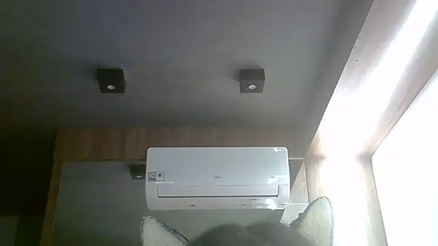 Snapshot of Skinny-Kitten chatting on April 3, 9:40 am Skinny-Kitten online show from April 3, 9:40 am