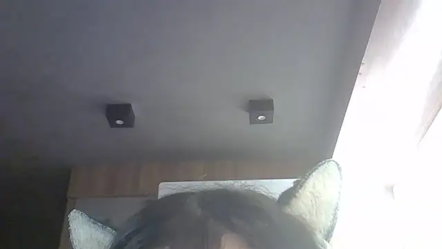 Snapshot of Skinny-Kitten chatting on April 12, 3:00 am Skinny-Kitten online show from April 12, 3:00 am