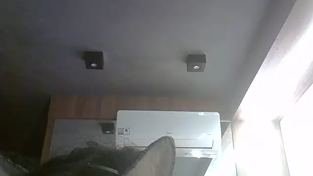 Snapshot of Skinny-Kitten chatting on May 31, 8:21 pm Skinny-Kitten online show from May 31, 8:21 pm