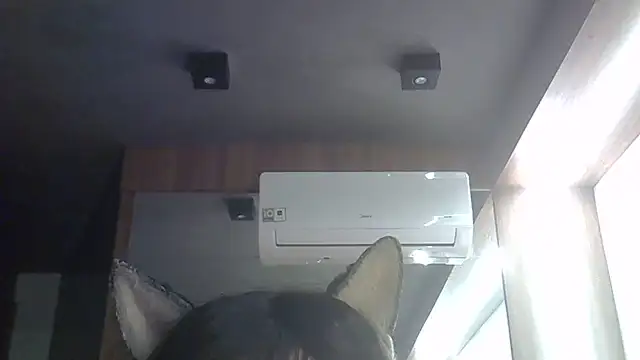Snapshot of Skinny-Kitten chatting on June 2, 3:52 am Skinny-Kitten online show from June 2, 3:52 am