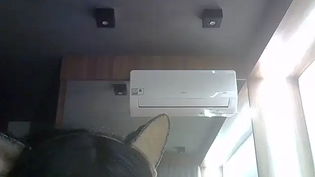 Snapshot of Skinny-Kitten chatting on June 12, 11:35 pm Skinny-Kitten online show from June 12, 11:35 pm