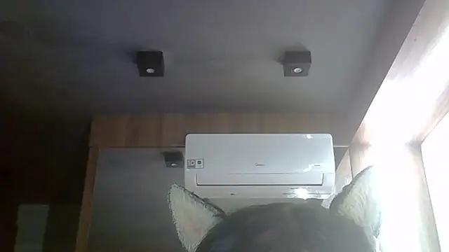 Snapshot of Skinny-Kitten chatting on June 15, 8:38 am Skinny-Kitten online show from June 15, 8:38 am