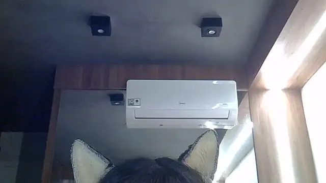 Snapshot of Skinny-Kitten chatting on June 26, 11:36 am Skinny-Kitten online show from June 26, 11:36 am