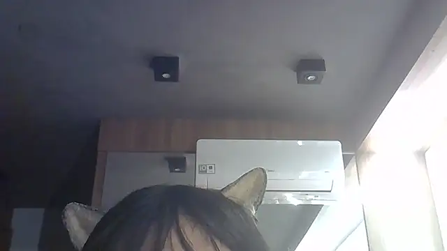 Snapshot of Skinny-Kitten chatting on July 7, 6:47 am Skinny-Kitten online show from July 7, 6:47 am