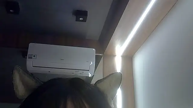 Snapshot of Skinny-Kitten chatting on July 20, 11:51 pm Skinny-Kitten online show from July 20, 11:51 pm