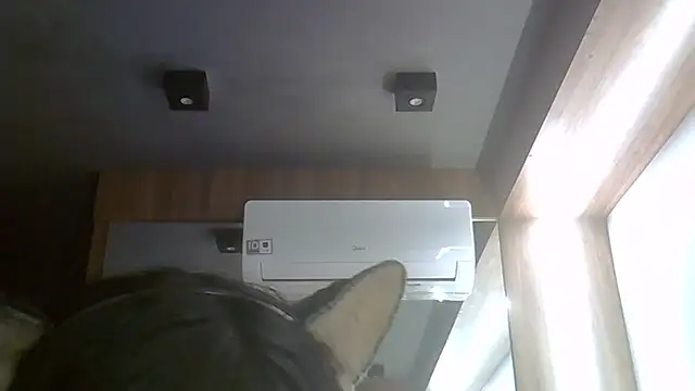 Snapshot of Skinny-Kitten chatting on July 21, 4:09 pm Skinny-Kitten online show from July 21, 4:09 pm
