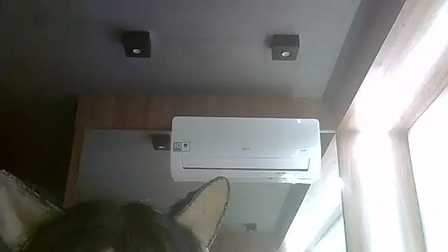 Snapshot of Skinny-Kitten chatting on July 24, 4:10 am Skinny-Kitten online show from July 24, 4:10 am
