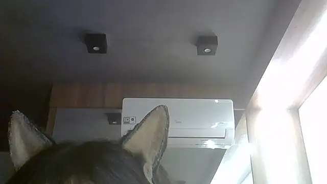 Snapshot of Skinny-Kitten chatting on July 28, 5:25 am Skinny-Kitten online show from July 28, 5:25 am