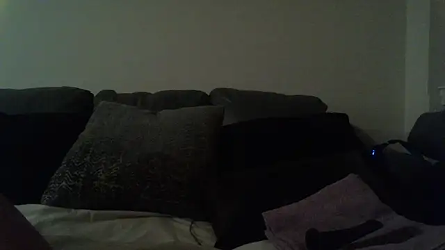 Snapshot of lofibunni chatting on November 29, 5:32 am lofibunni online show from November 29, 5:32 am