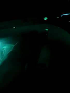 fat cock 4 you online show from September 22, 2:02 am