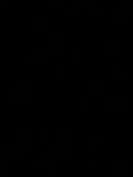 la chiennete online show from February 13, 2:13 pm