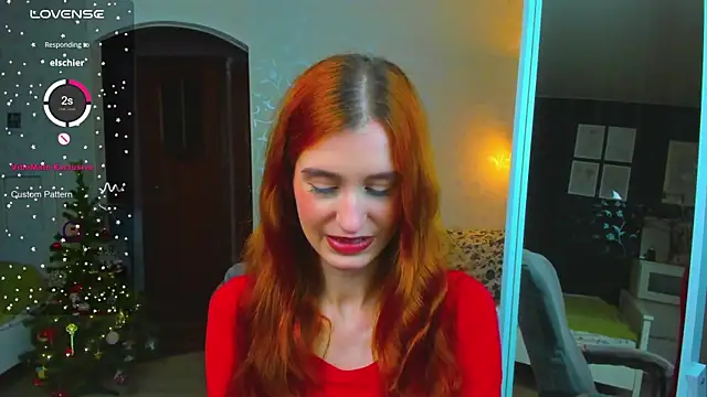 Sally Biscuit online show from December 21, 10:33 am