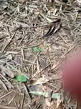 Blanco2023 online show from February 20, 6:02 pm