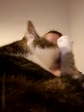 Wisie Cutie online show from February 19, 11:04 pm