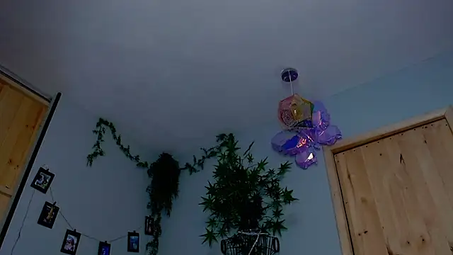 VickyJackson  online show from November 19, 7:58 pm