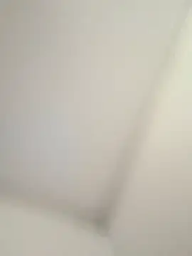 CelesteBailey online show from September 26, 8:29 am