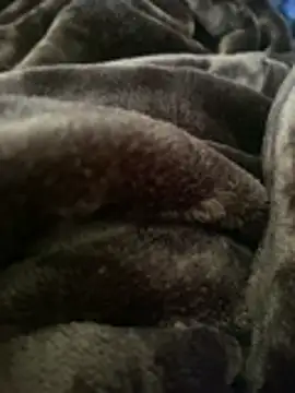 Snapshot of ft2022W chatting on March 7, 6:16 pm ft2022W online show from March 7, 6:16 pm