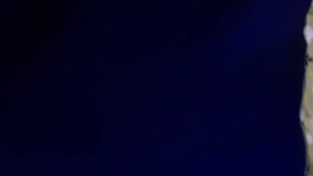 Snapshot of -AyeshaSinghania- chatting on February 13, 1:45 am -AyeshaSinghania- online show from February 13, 1:45 am