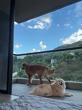 Helenbronwx online show from January 17, 9:28 pm