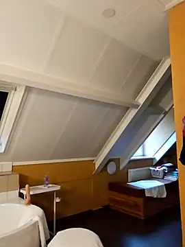 Snapshot of MarleneBloem chatting on December 31, 1:52 pm MarleneBloem online show from December 31, 1:52 pm