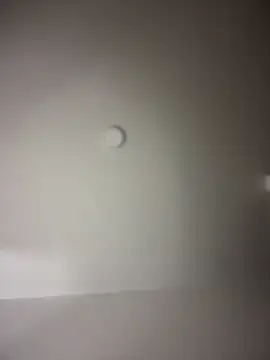 MichelleFerry  online show from December 16, 7:37 am