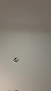 Snapshot of MichelleFerry_ chatting on December 21, 6:31 am MichelleFerry online show from December 21, 6:31 am