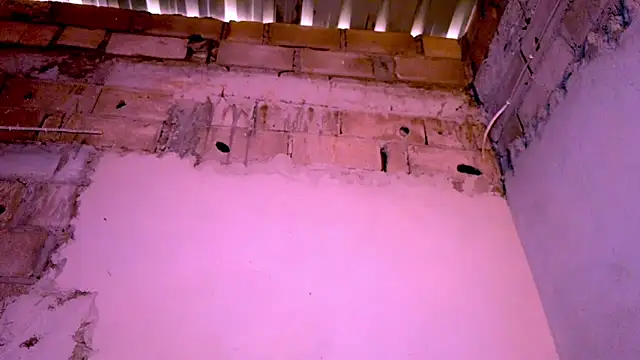 nzanizy online show from December 31, 1:30 pm