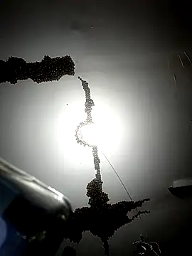 Snapshot of ColdVisitor chatting on February 6, 1:32 am ColdVisitor online show from February 6, 1:32 am