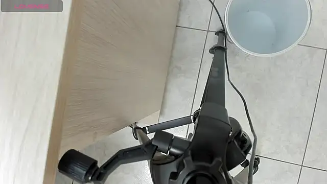 valery smitd online show from December 12, 12:44 pm