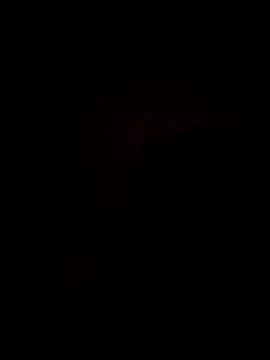 Snapshot of Bella-Tight chatting on October 30, 10:43 pm Bella-Tight online show from October 30, 10:43 pm