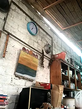 kvr27 online show from November 9, 11:52 am