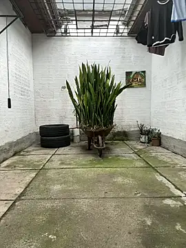 oliver price1 online show from November 13, 9:14 pm