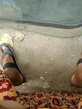 Kolkata   Boy online show from February 9, 8:22 am