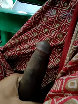 Kolkata   Boy online show from January 11, 3:22 am